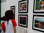 mediacaoartistica